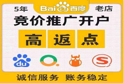SEM外包服务应用案例分析